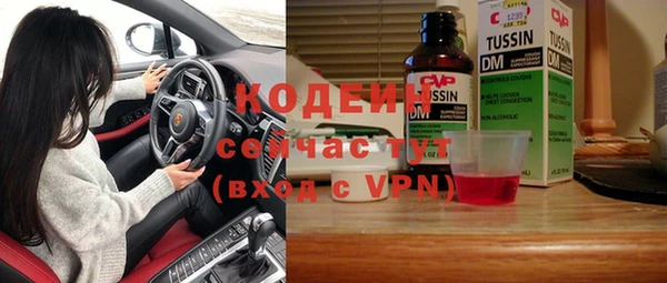 гашик Ладушкин