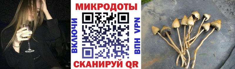 Псилоцибиновые грибы Cubensis  купить   Юхнов 